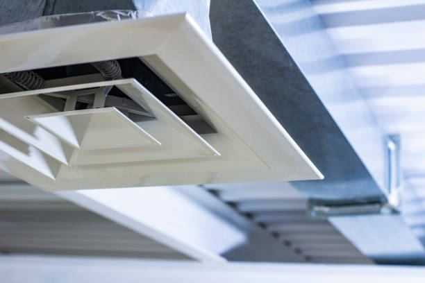 Best Air Duct Sanitizing Services  in Lawrenceville, GA